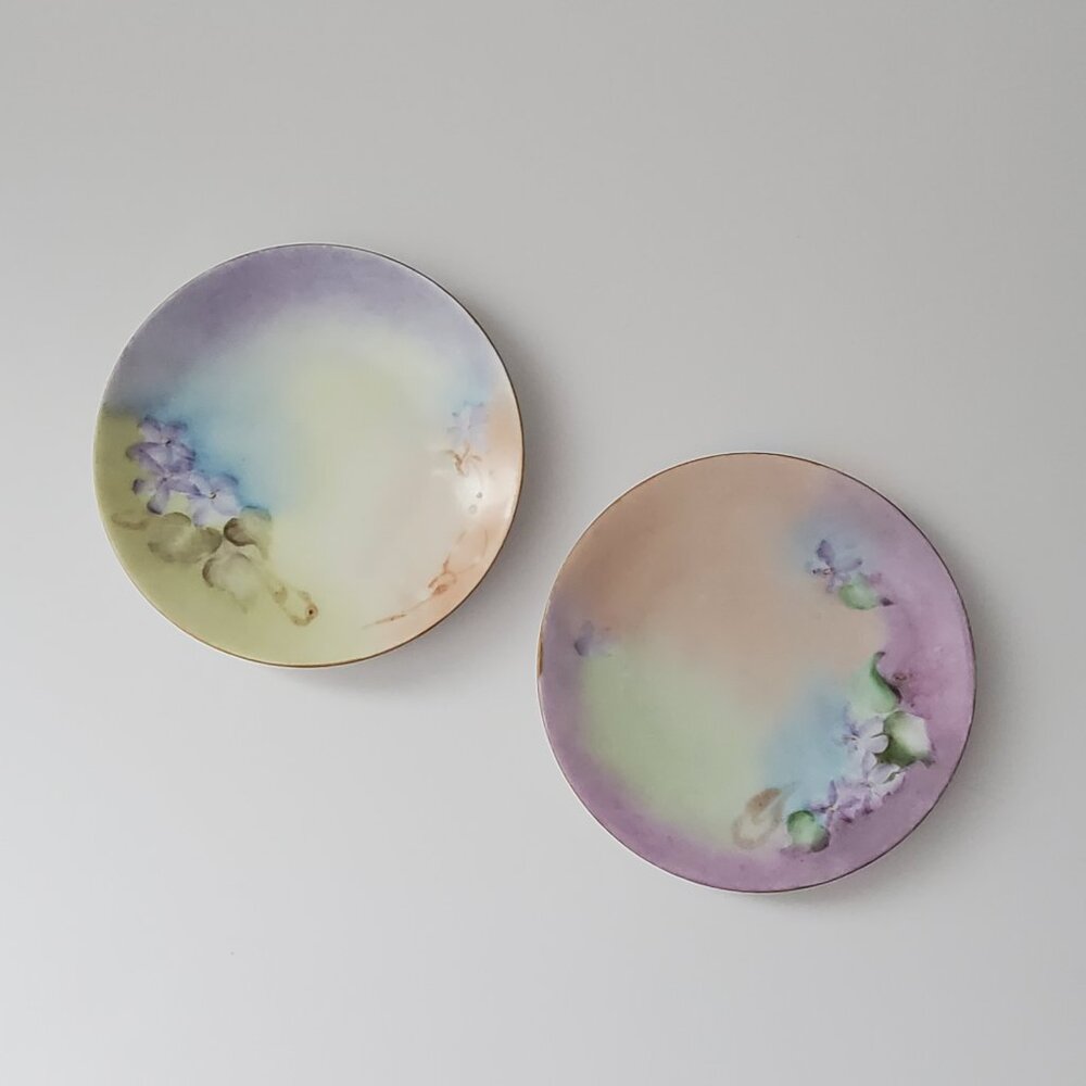 Antique Hand Painted Porcelain Plates 1900-1920 H. Ohme Silesia, Germany 2 pcs.